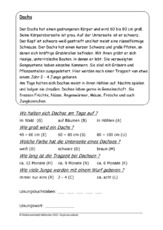 Dachs.pdf